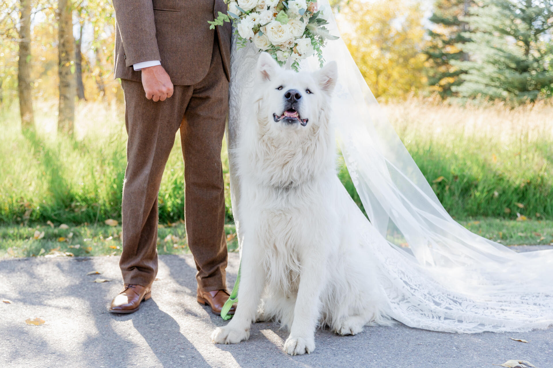 sneakpeak kendall&craig 35